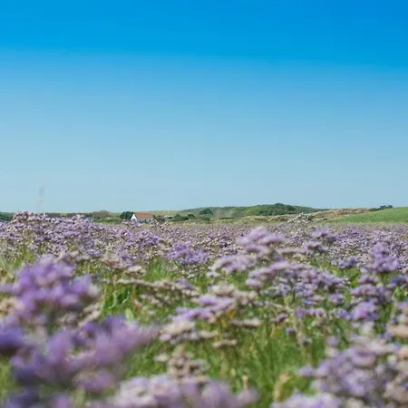 Διαμέρισμα Spinnaker