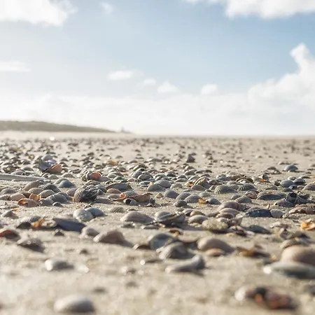 Διαμέρισμα Spinnaker