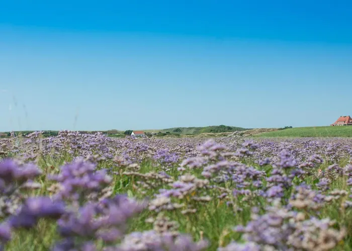 Апартаменты Spinnaker